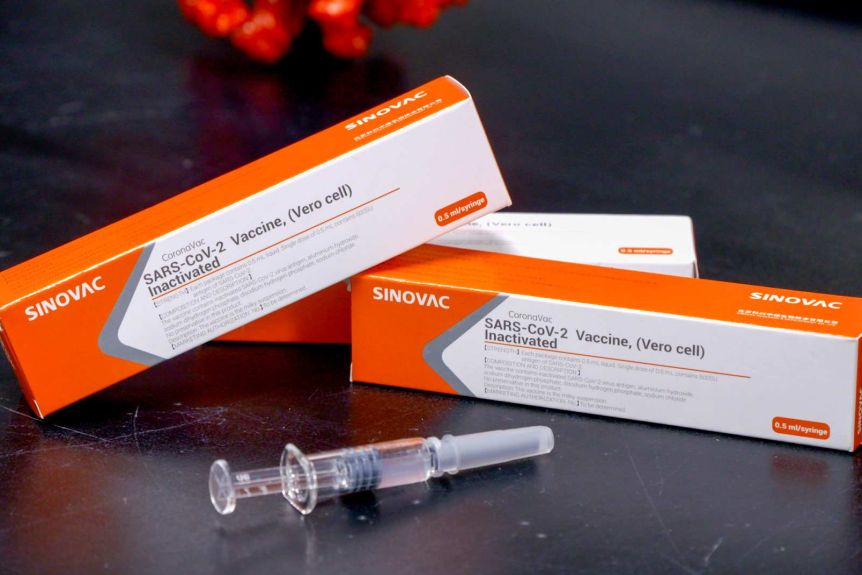 Gov’t bought Sinovac vaccines ‘close to P650 per dose’: Palace