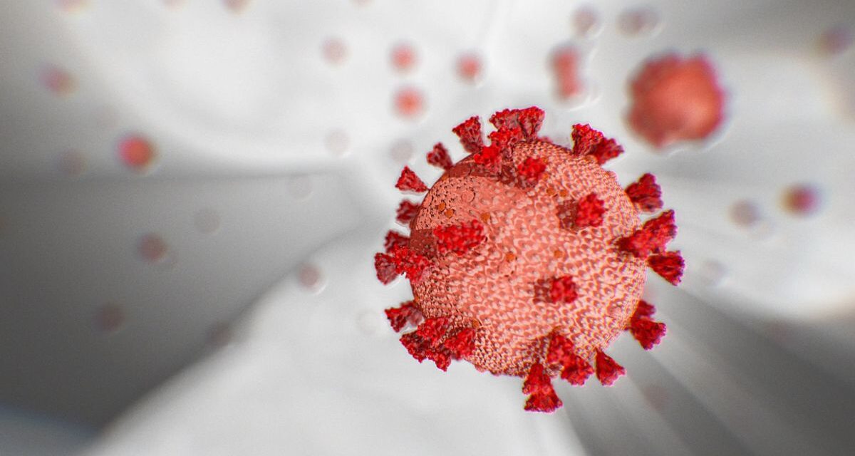 Iloilo province has highest active COVID-19 cases in WV