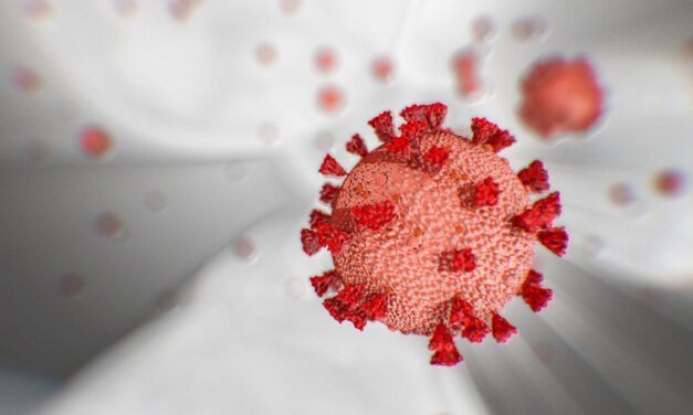 Iloilo province has highest active COVID-19 cases in WV