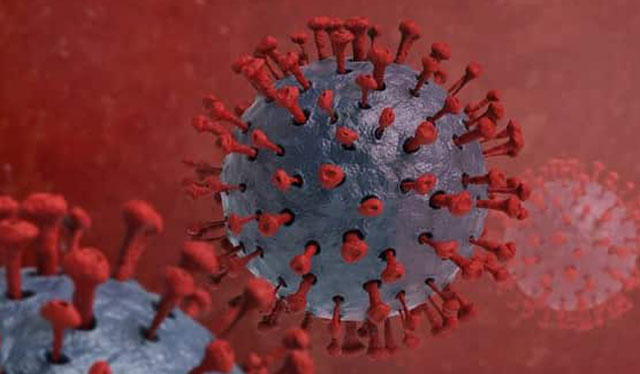 Iloilo province logs 14 new COVID-19 cases, highest in WV