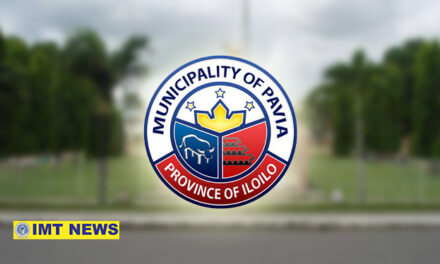 ‘There’s really no chance’: Pavia drops bid to become a city