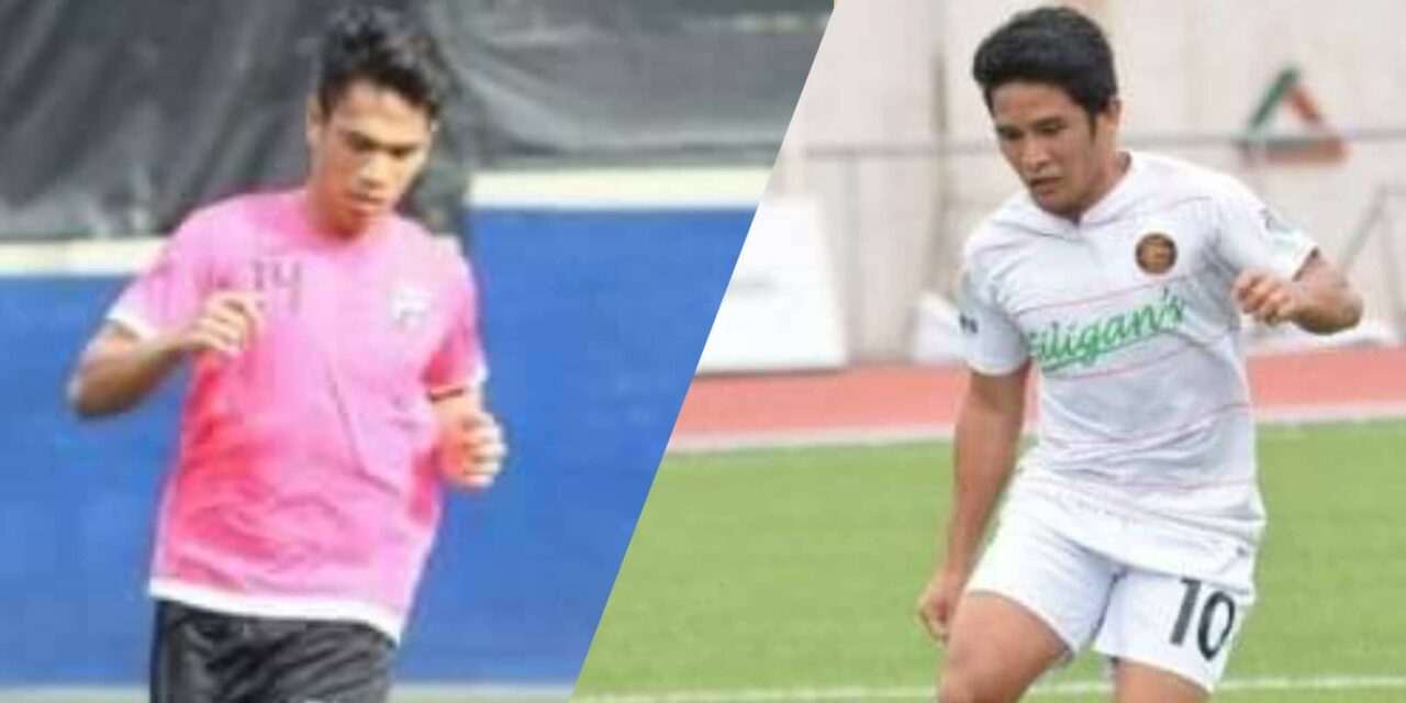 Ilonggo Melliza, Arboleda leave Stallion Laguna FC