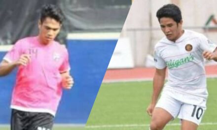 Ilonggo Melliza, Arboleda leave Stallion Laguna FC