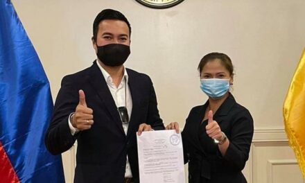 Bill dividing Iloilo City into 2 legislative districts hurdles House