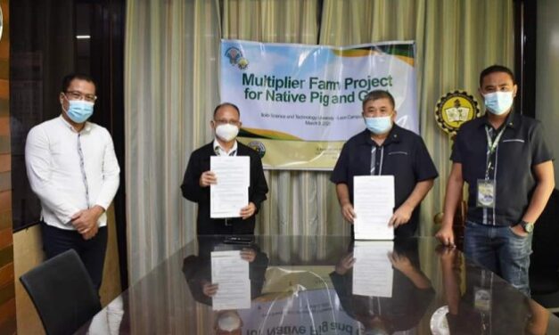 ‘Multiplier farm’ to boost native pig, goat breeder stocks