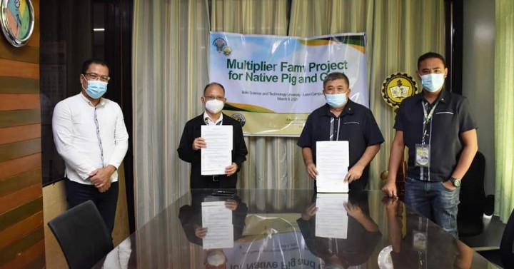 ‘Multiplier farm’ to boost native pig, goat breeder stocks