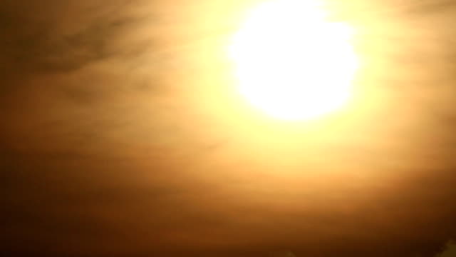 Heat index in WV expected to hit 38°C this weekend