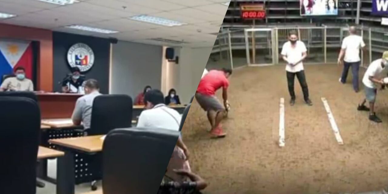 SP probe finds lapses by city gov’t in Rockwell’s cockfighting operation