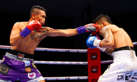 Nietes shows old form to hammer Colombian foe