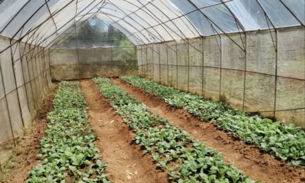 Tubungan town advocates organic farming