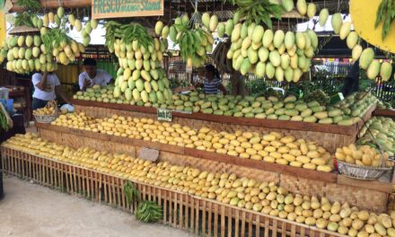 Guimaras gears for Manggahan Festival 2021