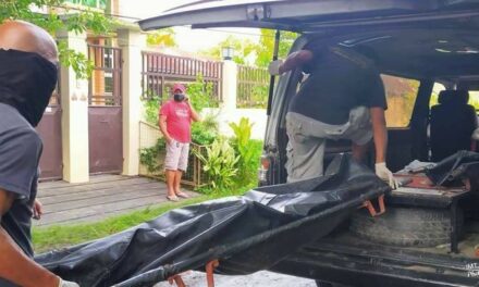 Mother, son die in Leganes house fire