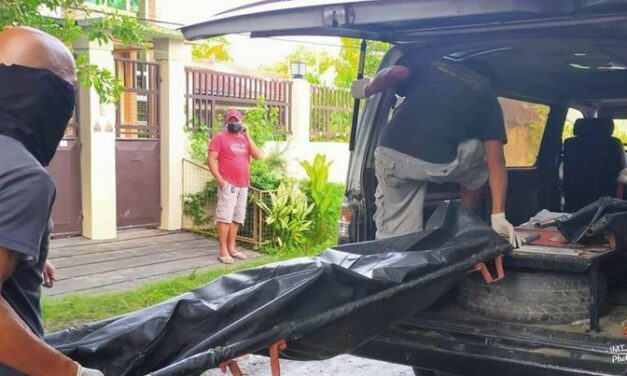 Mother, son die in Leganes house fire
