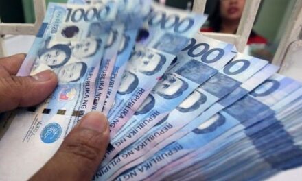 DSWD distributes livelihood aid in Passi City