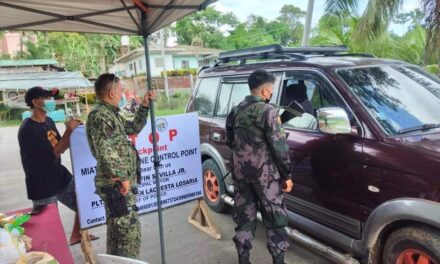 Iloilo to see impact of strict COVID-19 measures after 2 weeks