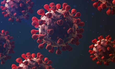 Iloilo province logs highest single-day COVID-19 cases at 217