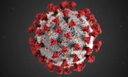 WV records nearly 1K new COVID-19 cases in single day