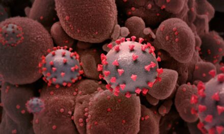 WV’s daily COVID-19 deaths hit all-time high at 19