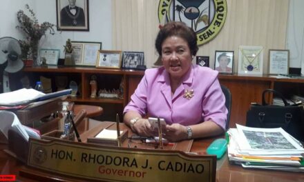 ‘Unfair to use detection of Delta variant in Antique as basis for placing Iloilo under ECQ’