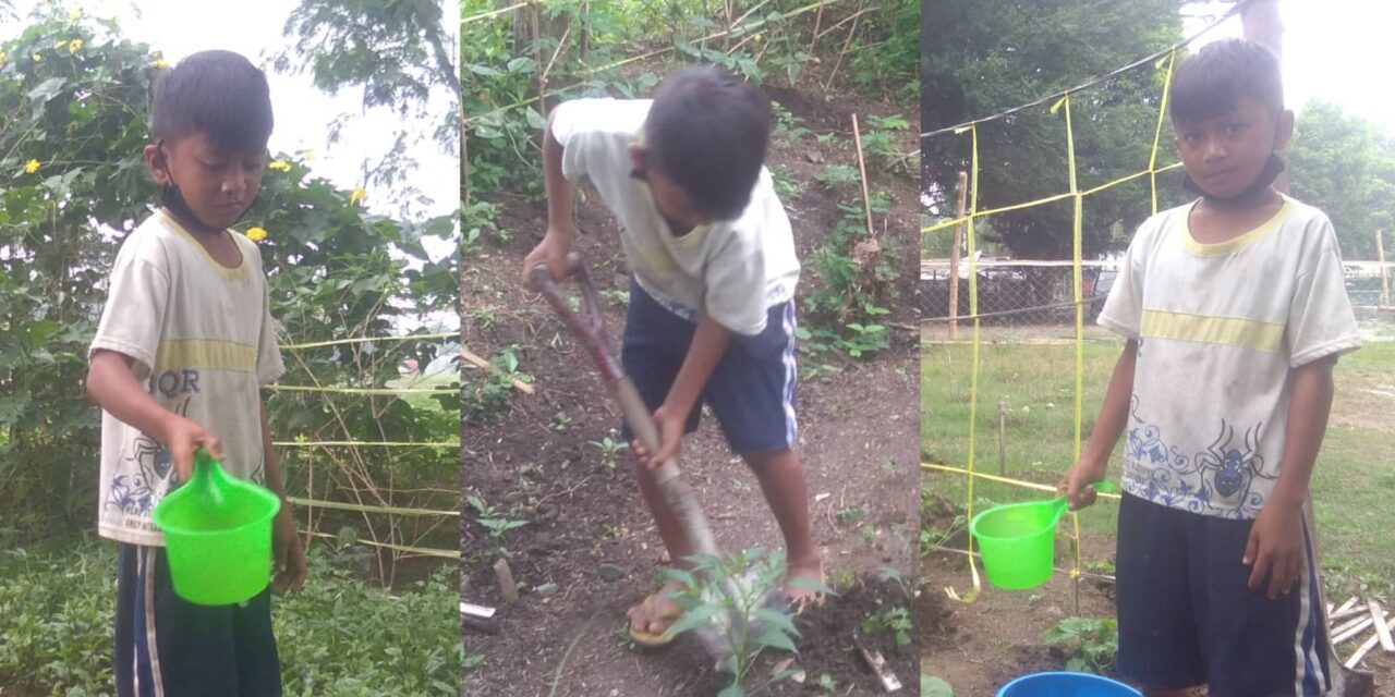 Learning innovation in Pavia National High School yielded desired results