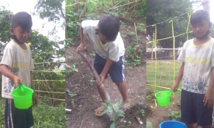 Learning innovation in Pavia National High School yielded desired results