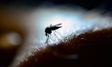 Dengue cases in Iloilo City up amid COVID-19 pandemic