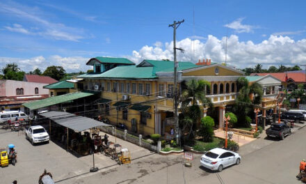 Dumangas has highest theft cases in Iloilo province