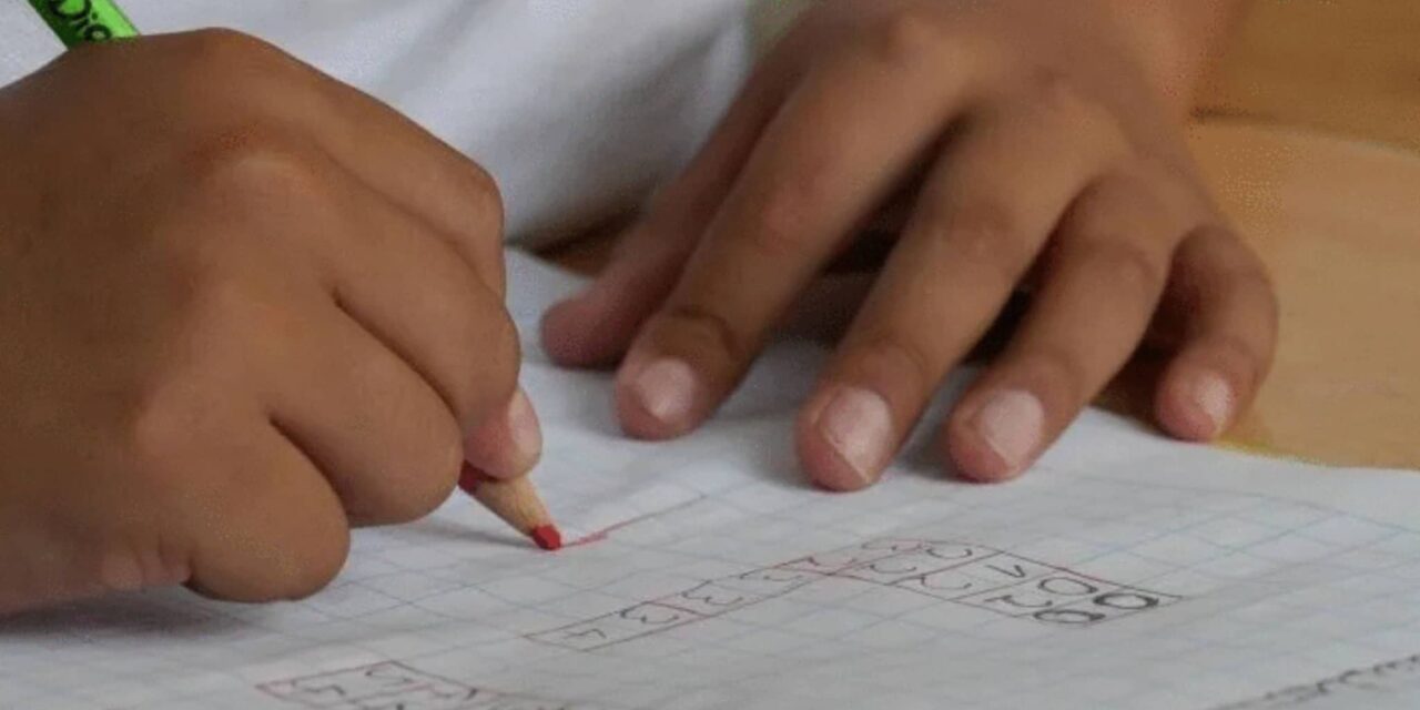 Is modular distance learning really working?