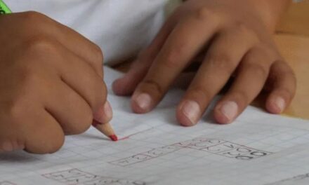 Is modular distance learning really working?