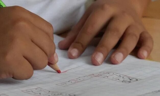 Is modular distance learning really working?