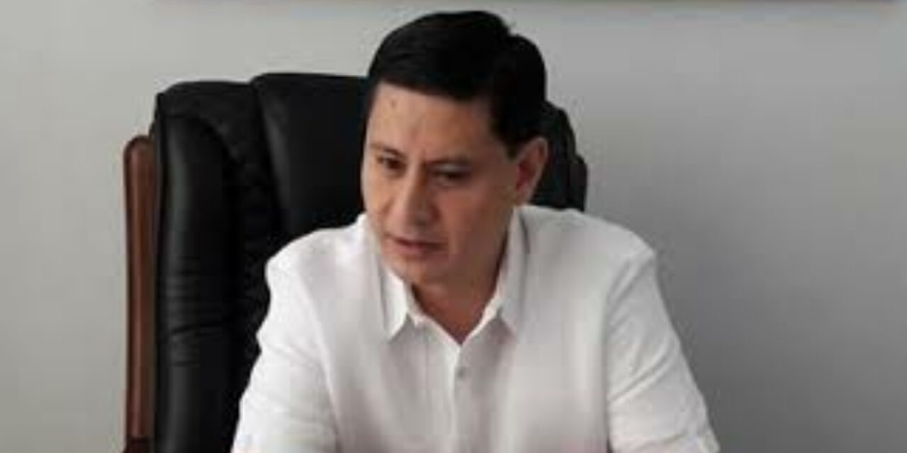 Defensor refuses to take side in PDP-Laban row