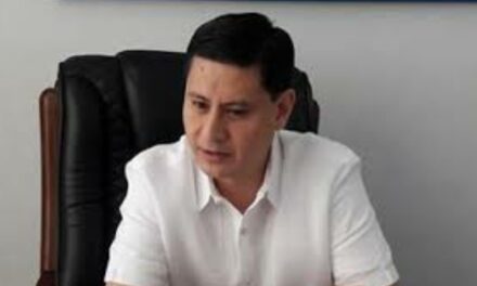 Defensor refuses to take side in PDP-Laban row