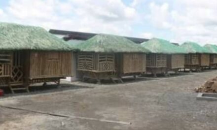 Lambunao to open P2-M ‘bahay-kubo’ isolation facility for asymptomatic patients