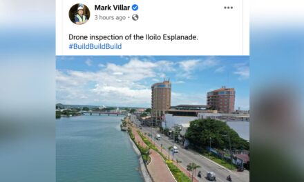 ‘Take your credit-grabbing elsewhere’: Ilonggo netizens irked by Villar’s FB post