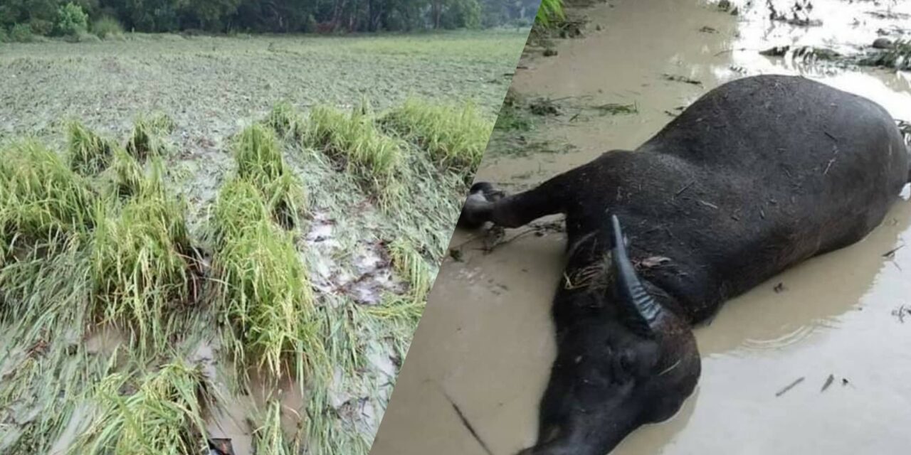 Flash floods hit Miagao villages
