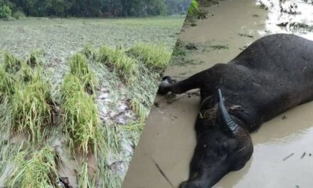Flash floods hit Miagao villages