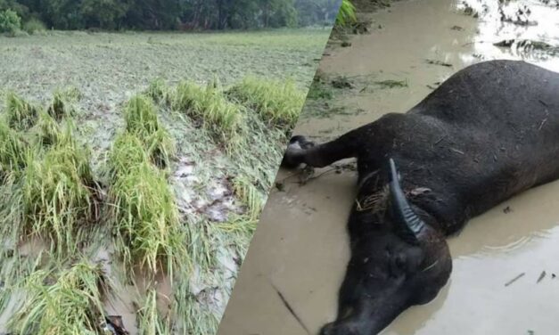 Flash floods hit Miagao villages