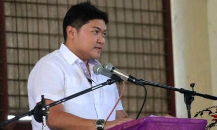 Gorriceta responds to appeal for another power distributor in Pavia