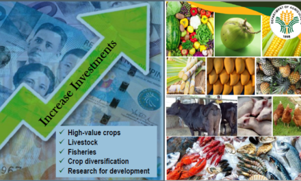 DA to focus more on high-value commodities, following success in rice