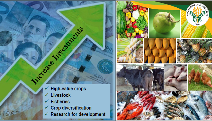 DA to focus more on high-value commodities, following success in rice