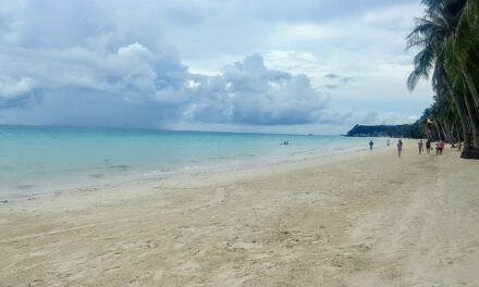 DOT-6: Only visitors from MGCQ, GCQ areas are allowed to enter Boracay