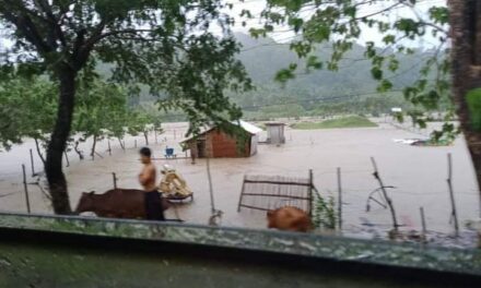 126 families affected by floods, landslides in Antique