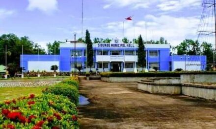 Sibunag mayor, several town hall workers test positive for COVID-19