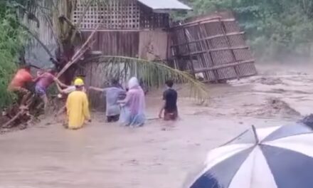 Jolina destroys houses, damages crops, livestock in WV