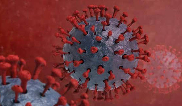 Iloilo’s COVID-19 variant case count highest in WV