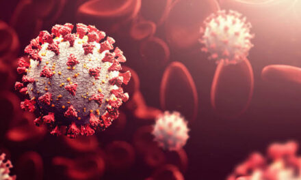 COVID-19 death toll in WV reaches over 3K