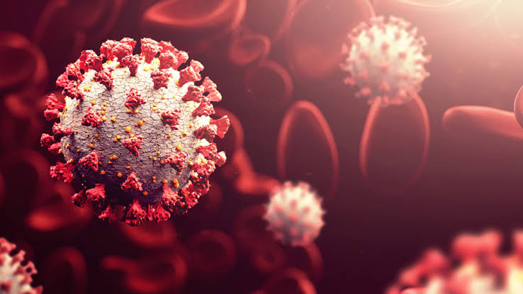 COVID-19 death toll in WV reaches over 3K