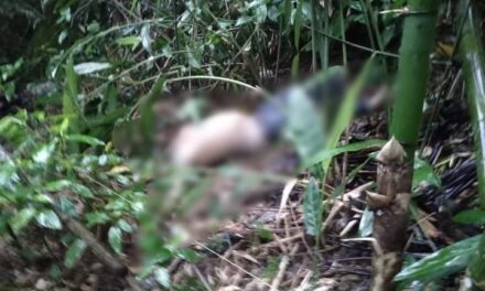 Headless body found in Calinog