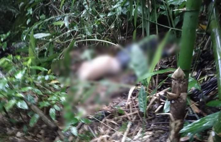 Headless body found in Calinog