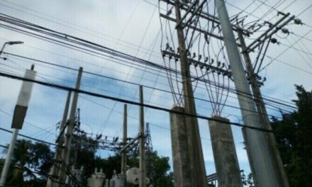 NegOcc solon bats for review of power pricing policy